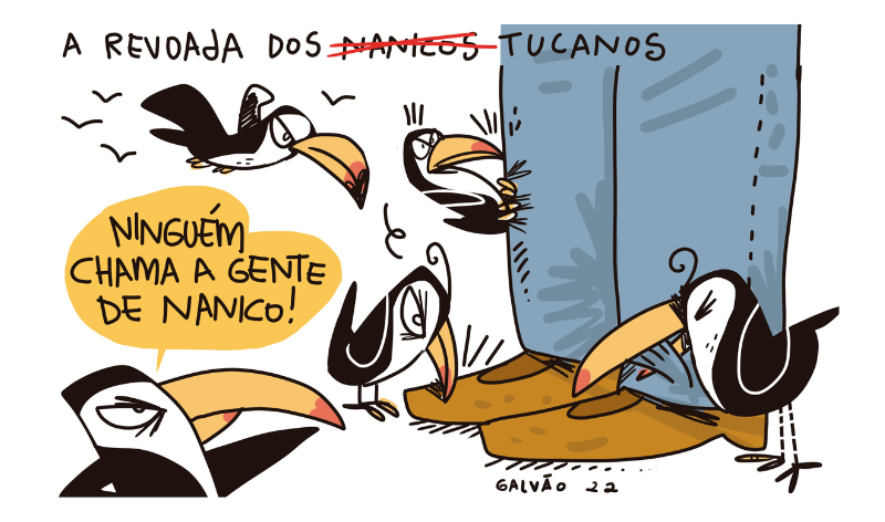 Confira a charge do Galvão no site Upiara Online. Clique no link e veja outras charges.