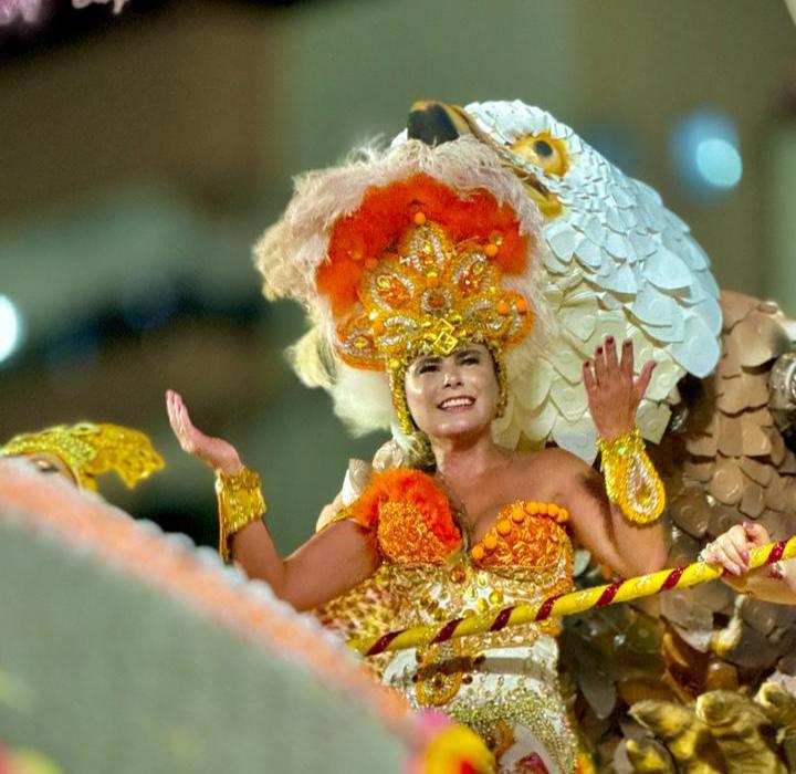 Deputada Paulinha (Divulgação)