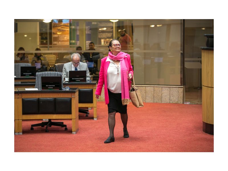 Ex-deputada estadual, Ada de Luca (MDB) escreve artigo para o site upiara.net no Dia Internacional da Mulher