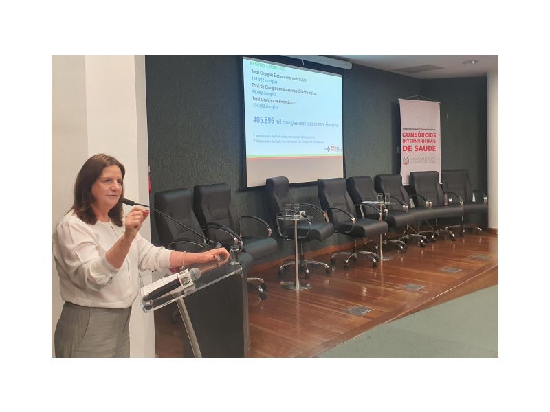 A secretária estadual de Saúde, Carmen Zanotto, apresentou na Alesc os números de cirurgias eletivas realizadas no governo Jorginho