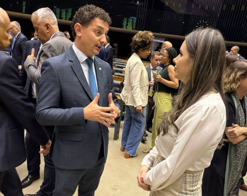 Saiba mais sobre o projeto que pode dar mais deputados federais representando Santa Catarina na Câmara dos Deputados