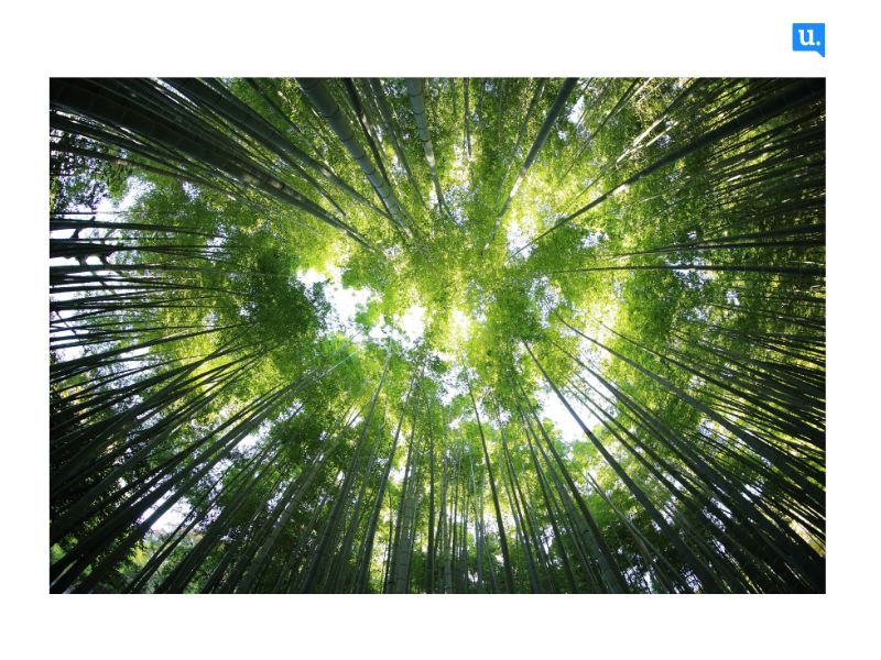 A maior exportadora de metais sanitários do Brasil, a Social, com sede em Joinville, tem atuação destacada no cuidado com o meio ambiente. A empresa preserva 205.796 metros quadrados de área, o equivalente a um terço do espaço total, onde também fica o parque fabril.