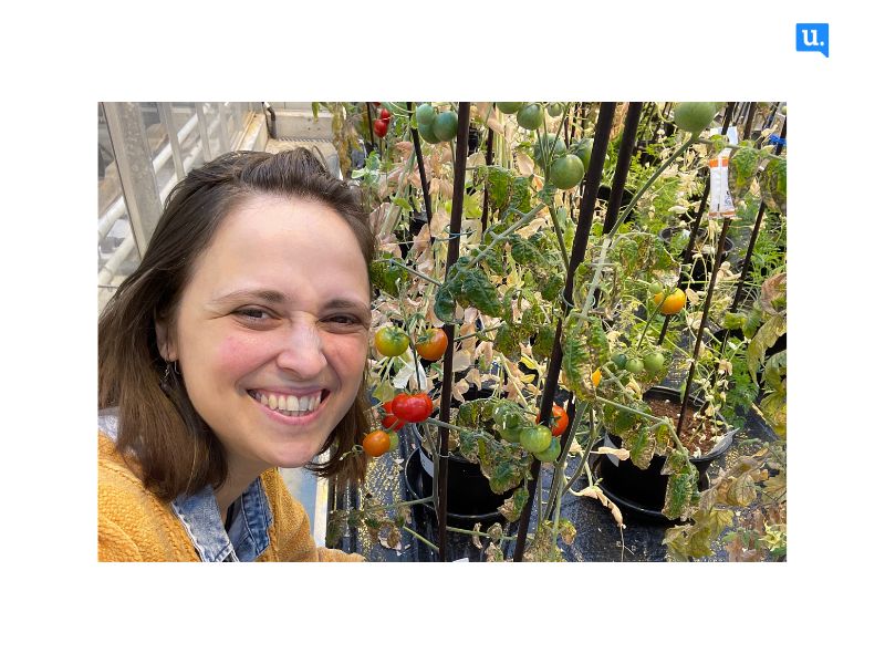 Como a produção dos tomates pode ajudar a acabar com a fome mundial