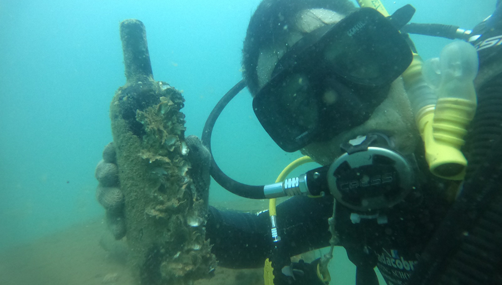 mergulhador garrafa de vinho underwater cellar
