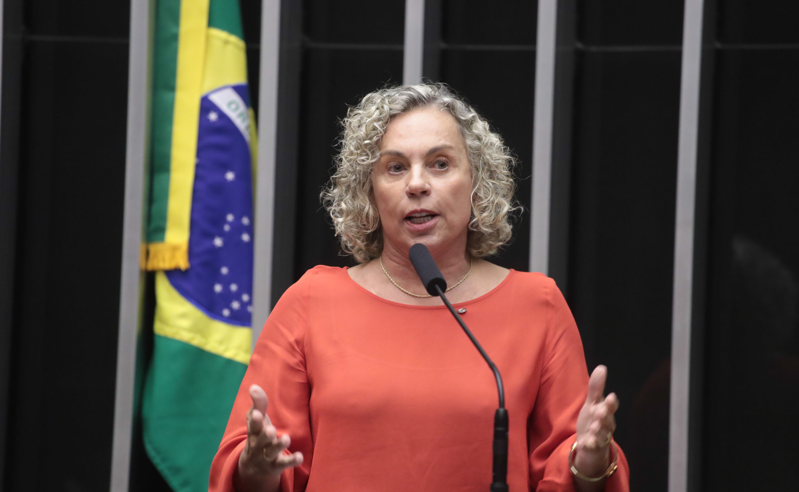 Deputada federal Ana Paula Lima