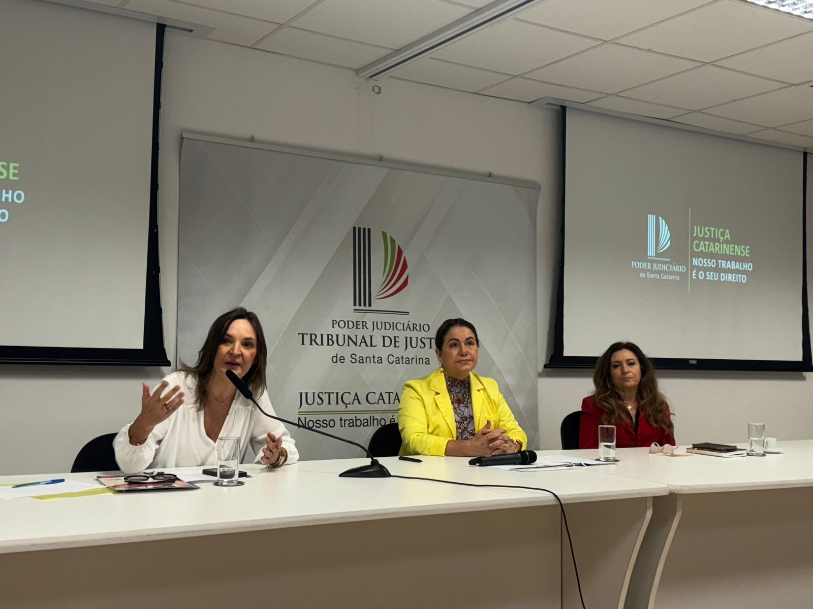 violência contra mulher