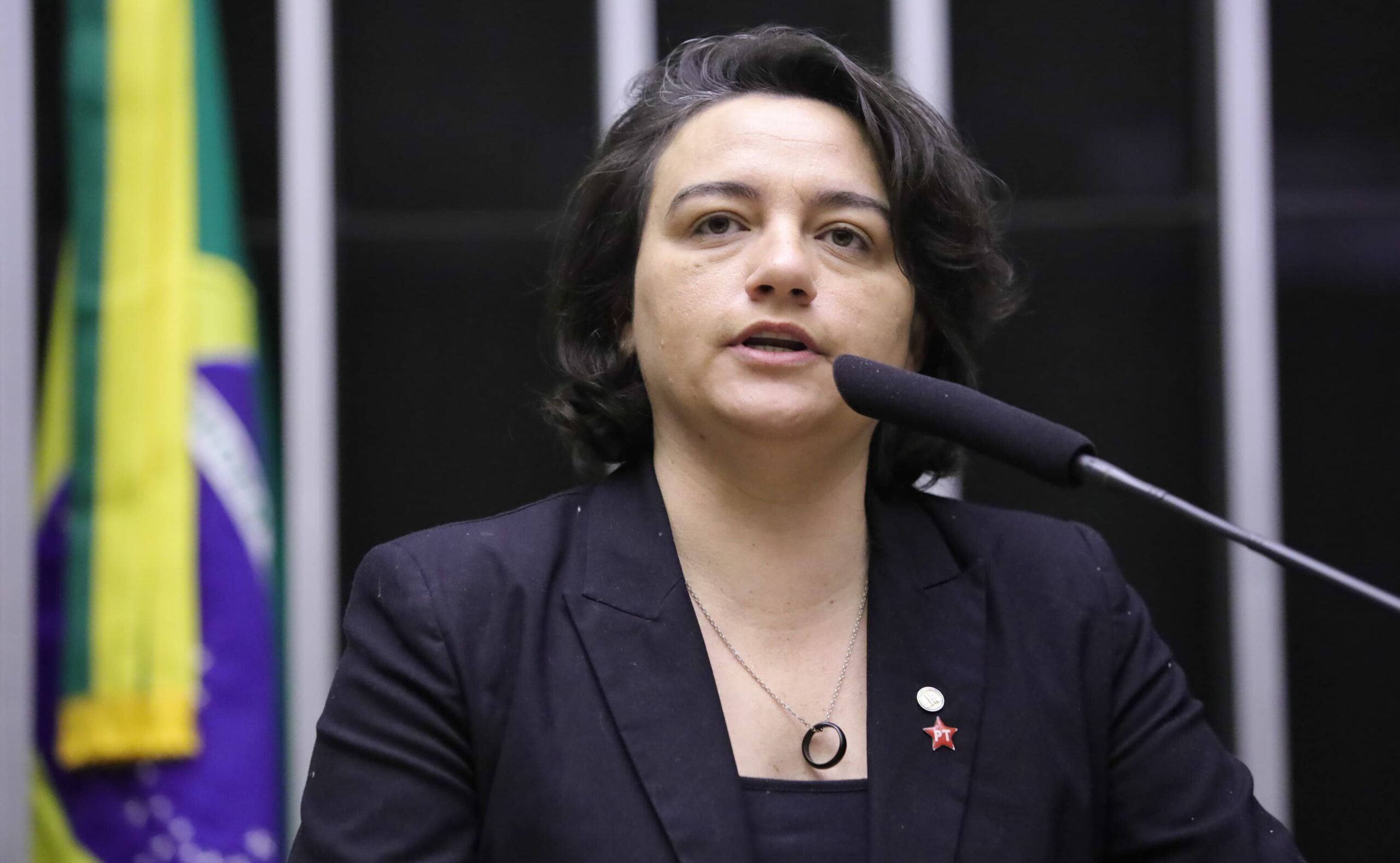 Grupo do PT de Santa Catarina apresenta nomes de pré-candidatos em 2026 com a vereadora Carla Ayres em destaque