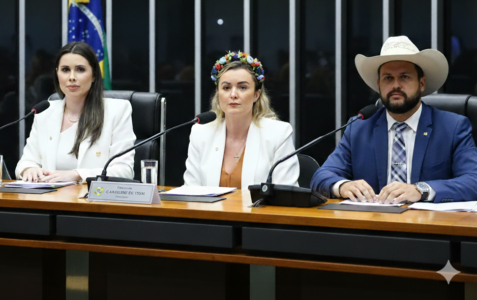 Marcello Natale apresenta o desempenho das redes sociais dos políticos de Santa Catarina a um ano das eleições de 2026