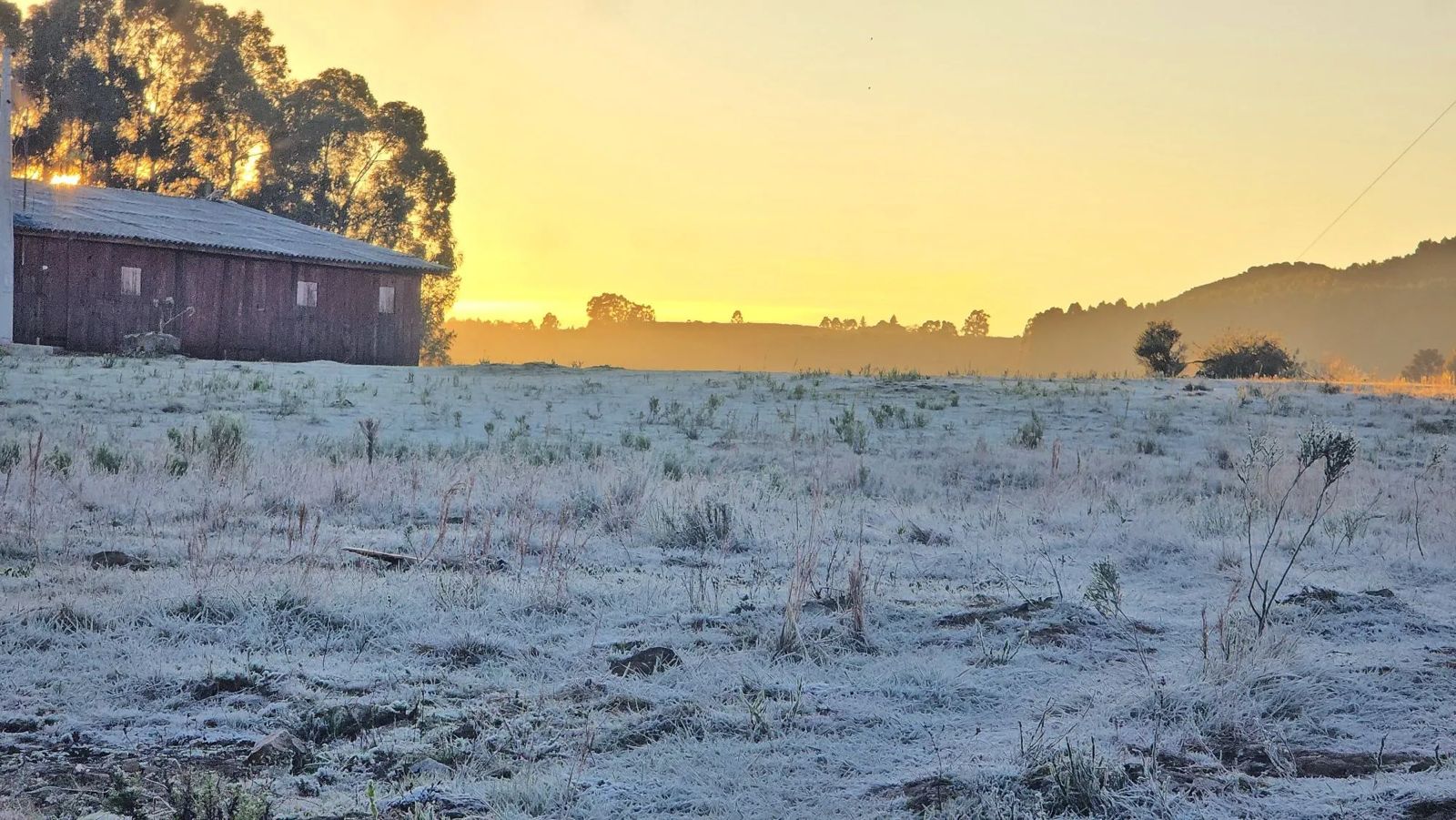 SC registra a menor temperatura de 2026 e frio levanta pergunta: já é inverno?