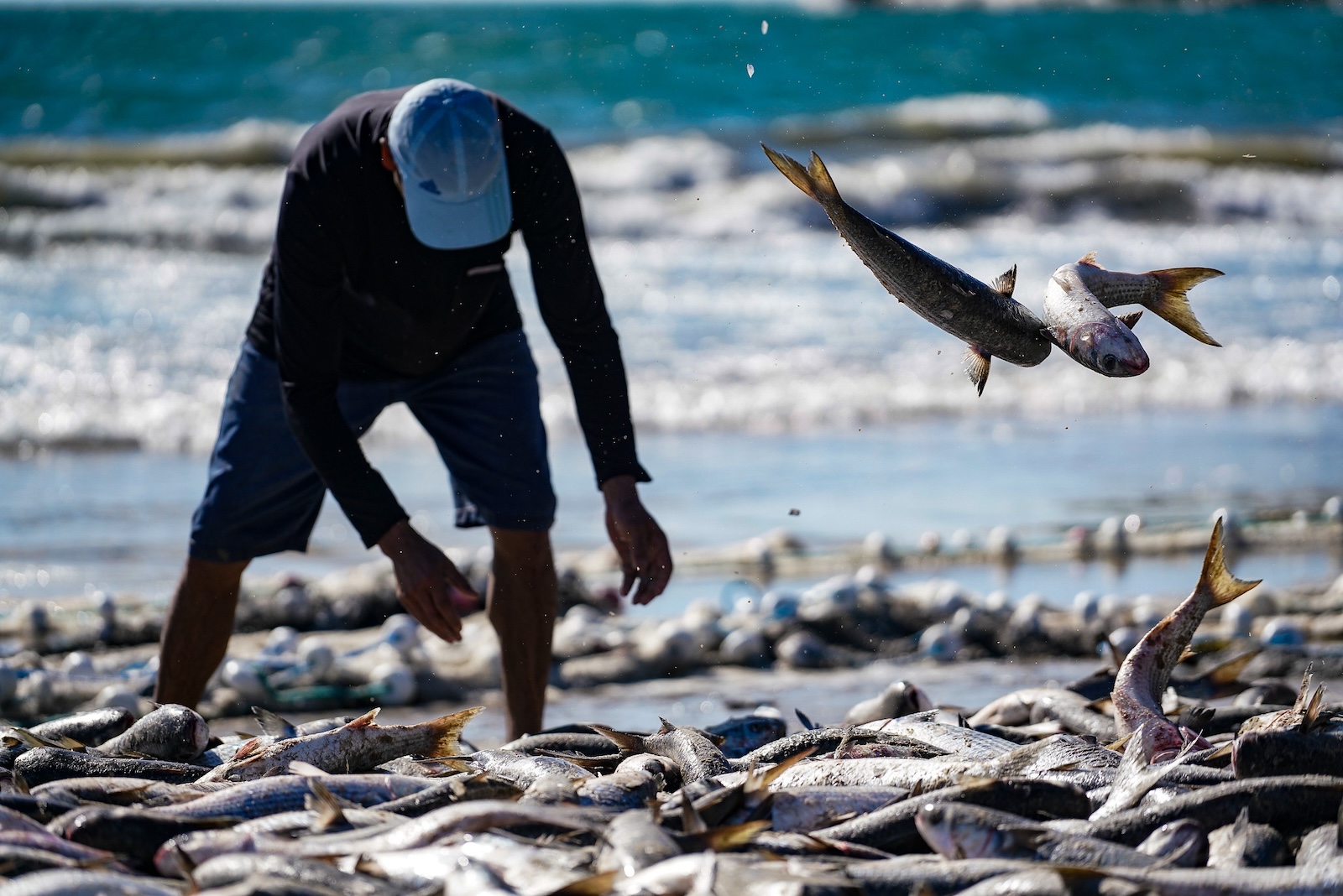 Pescador durante a safra da tainha em Santa Catarina. Pesca havia sido suspensa