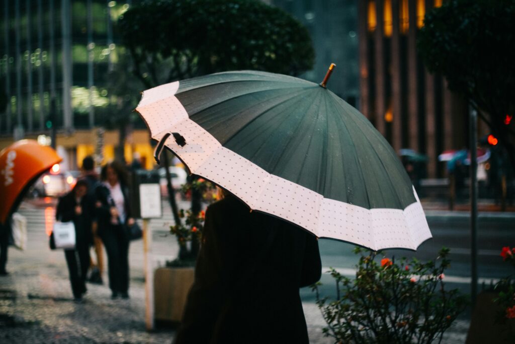 A previsão climática aponta precipitação próxima da média histórica de junho, porém com distribuição irregular